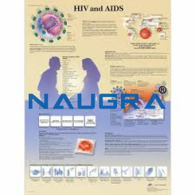 AIDS Chart Size 75x100 Cms for Educational Lab