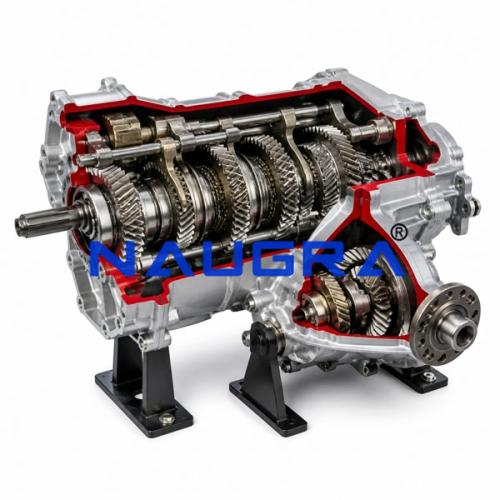 Transaxle Cut-Away, 6 Speed + Reverse, with Differential