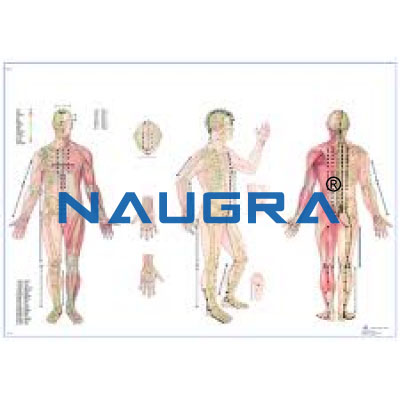 Laminated Charts for Teaching Equipments Lab