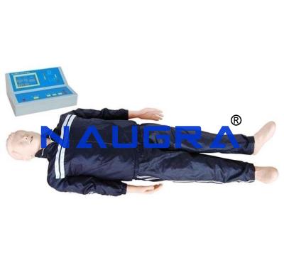 School Science Lab Medical Teaching Model