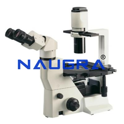 School Science Lab Inverted Microscope