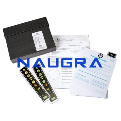 School Science Lab Plant Laboratory Equipment