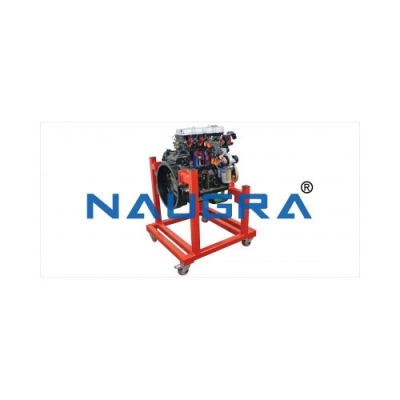 Sectioned Diesel Engine Trainer, 4 Cylinderfor engineering schools