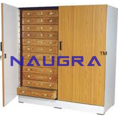 Insect Showcase Cabinet