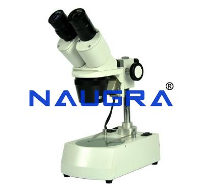 School Science Lab Stereo Microscope