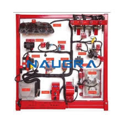Fuel Supply Pump Trainer Model (Mechanical Type)for engineering schools