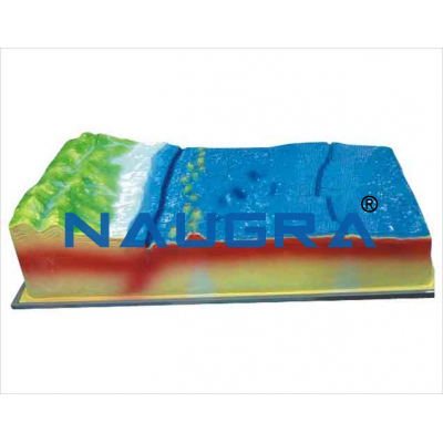 Model of plate structure and surface for Earth Science Lab