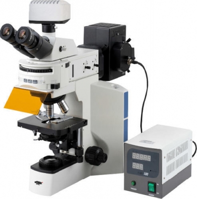 Fluorescent Microscope for Science Lab