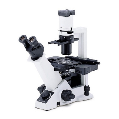 Inverted Microscope for Science Lab