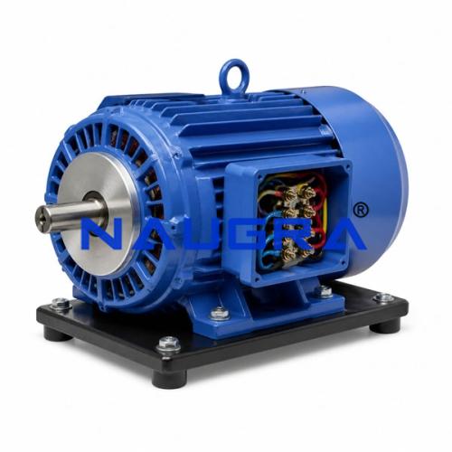 Electric Motors for Electric Motors Teaching Labs