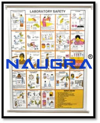 Laboratory Safety Chart