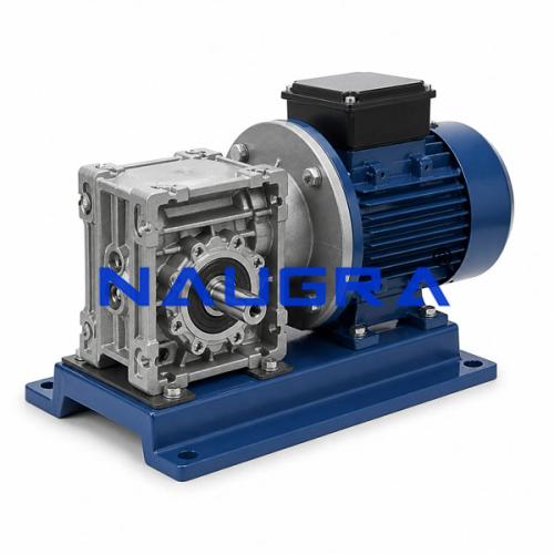 Worm Geared Motor for Electric Motors Teaching Labs