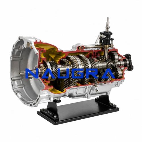 Transmission Cut-Away, 5 Speed + Reverse
