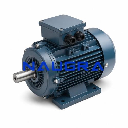 Squirrel Cage Motors for Electric Motors Teaching Labs