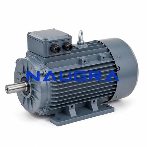 3 Phase AC Squirrel Cage Induction Motor  for Electrical Lab