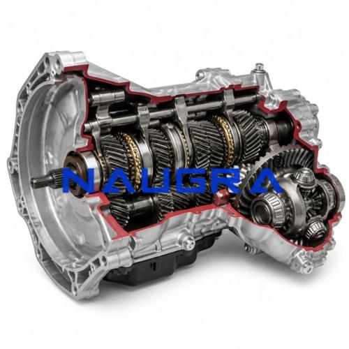 Transaxle Cut-Away, 5 Speed + Reverse, with Differential