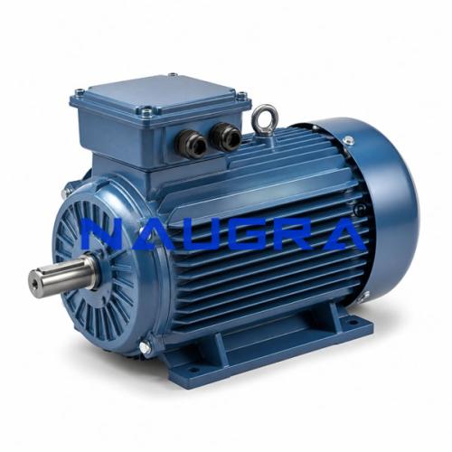 Three-Phase Electric Motor