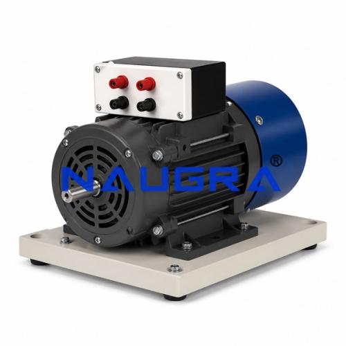 Dual Voltage Motors for Electric Motors Teaching Labs