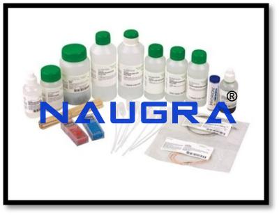 Acids and Bases Experiment Kit