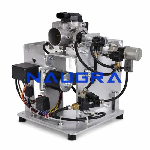 Electronic Single-Point Injection System