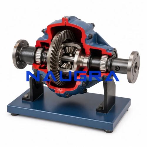 Differential Gear Engineering Training Model for engineering schools