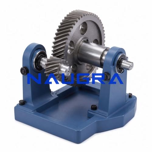 Single Stage Helical Gears Engineering Training Model for engineering schools