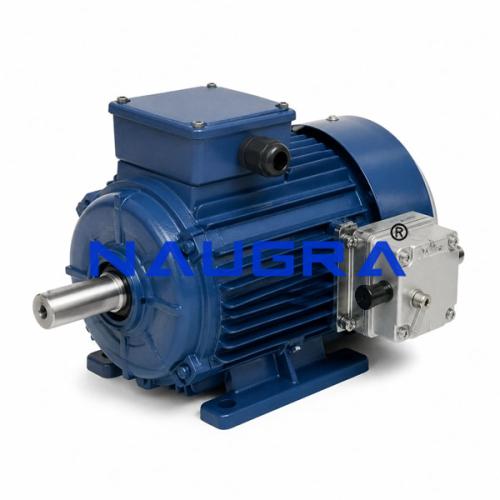 Three-Phase Self-Braking Electric Motor