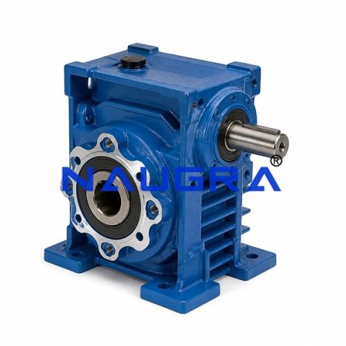 Worm Gear Reducer
