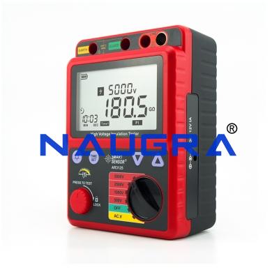 Insulation Tester (Digital)