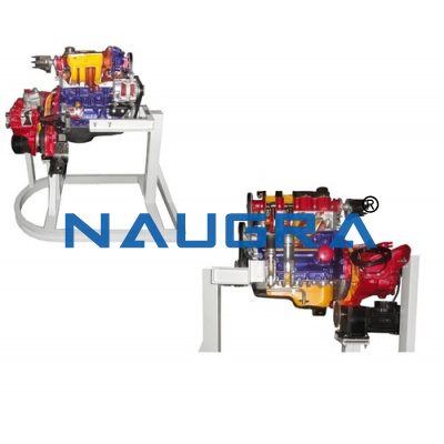 Cut Section Model of Four Cylinder Four Stroke Petrol Engine