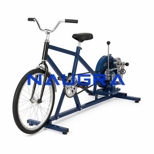 Bicycle Ergograph