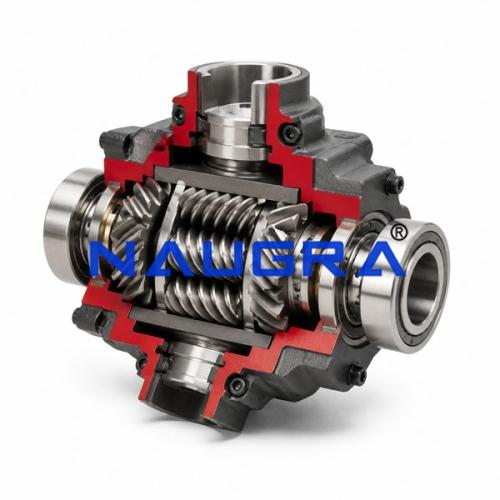 Torsen Differential