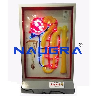 School Science Lab Electric Model