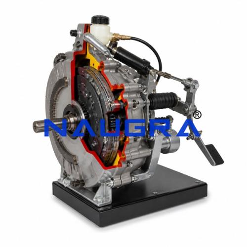 Heavy-Duty Double Clutch, Hydraulic and Mechanical for Buses
