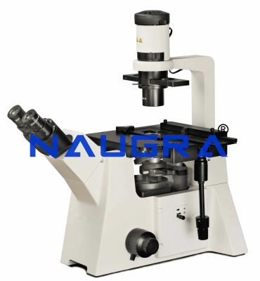 Inverted Trinocular Microscope India
