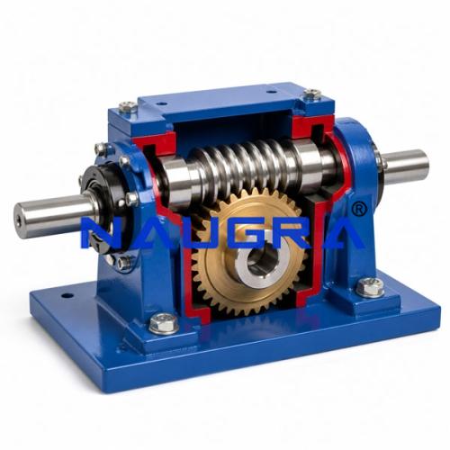 Worm Gear Engineering Training Model for engineering schools