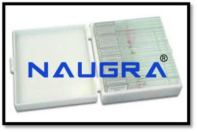 Microscope Slide Set -- Biology (25 Slides)