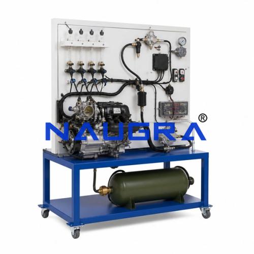 LPG Timed Sequential Injection