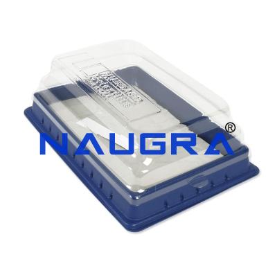 School Educational Lab Products