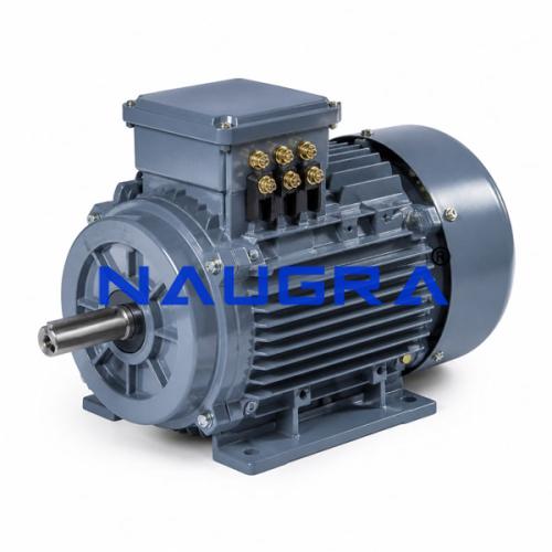 3 Phase AC Squirrel Cage Induction Motor Dahlander Type for Electrical Lab
