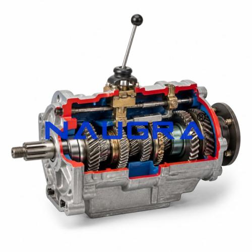Transmission Cut-Away, 4 Speed + Reverse