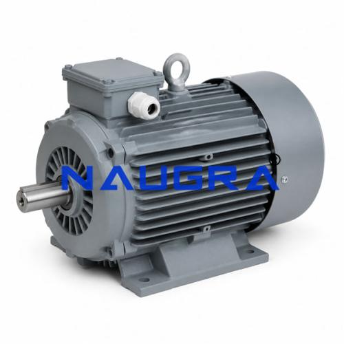 Crane Duty Motor for Electric Motors Teaching Labs