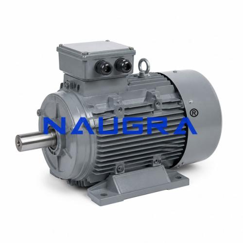 Three Phase Induction Motor for Electric Motors Teaching Labs